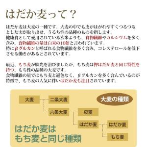 8/23までP最大12倍 国産 大麦 押はだか...の詳細画像2