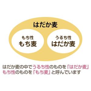 8/23までP最大12倍 国産 大麦 押はだか...の詳細画像3