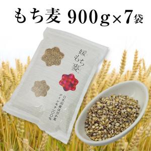 8/16までP最大12倍 国産 もち麦 900g×7袋 媛もち麦 ギフトにも ポイント利用