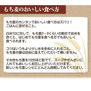 8/16までP最大12倍 国産 もち麦 900...の詳細画像3