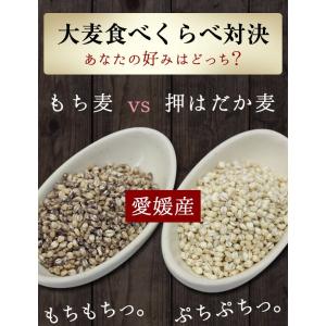 7/10までP最大13倍 900g×2個 国産...の詳細画像1
