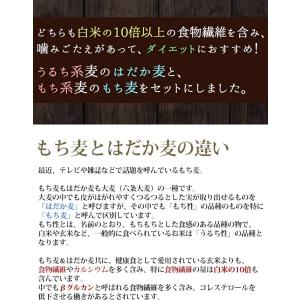 7/10までP最大13倍 900g×2個 国産...の詳細画像2