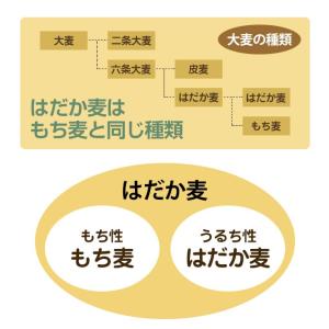 7/10までP最大13倍 900g×2個 国産...の詳細画像3