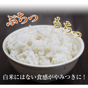 7/10までP最大13倍 900g×2個 国産...の詳細画像4
