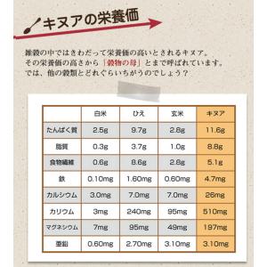 8/23までP最大12倍 有機キヌア 900g...の詳細画像3