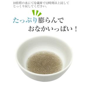 3/31までP最大12倍 ホワイトチアシード ...の詳細画像1