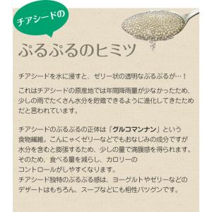 3/31までP最大12倍 ホワイトチアシード ...の詳細画像2