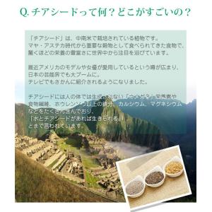 3/31までP最大12倍 ホワイトチアシード ...の詳細画像3