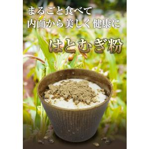 3/20までP最大12倍 焙煎はとむぎ粉末 国...の詳細画像1