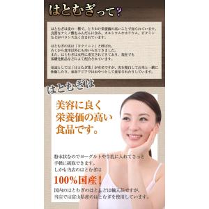3/20までP最大12倍 焙煎はとむぎ粉末 国...の詳細画像2