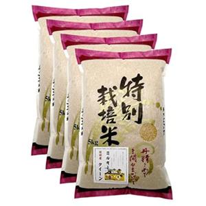 玄米 信州産 特別栽培米 ミルキークイーン 20kg 令和3年産