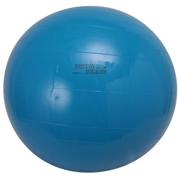 バランスボール ダンノ(DANNO) ギムニクカラーボール 95cm