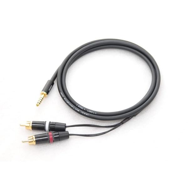 オーディオケーブル GOTHAM GAC-4/1 Yケーブル (4.4mm5極オス ? RCA×2)...