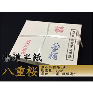 書道用品 天義堂 書道半紙 「八重桜 1000枚」 出雲和紙 5500｜tvilbidvirk5