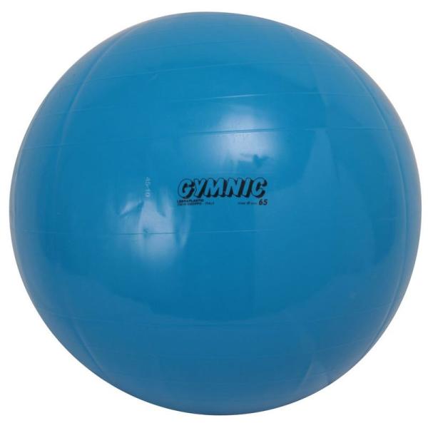 フィットネス用品 ダンノ(DANNO) ギムニクカラーボール 65cm
