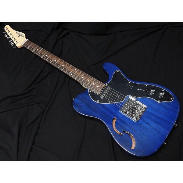 ギター SCHECTER OL-PT-TH STB See Thru Blue シェクター テレキャ...