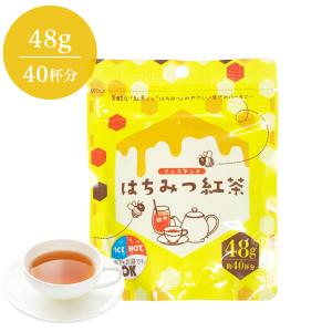 インスタント　はちみつ紅茶　48g詰×1　粉末　インスタントティー　蜂蜜紅茶 ハチミツパウダー｜tw-matsudaen