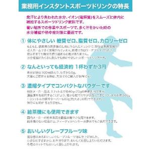 インスタント スポーツドリンク 250g×1 ...の詳細画像4