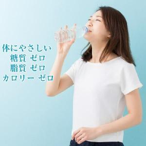 インスタント スポーツドリンク 250g×1 ...の詳細画像5