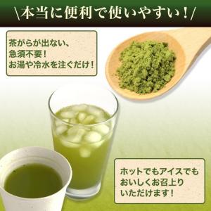 お茶 緑茶 粉末緑茶 業務用粉末緑茶(上) 1...の詳細画像2