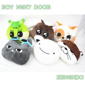 BOYNEXTDOOR BBNEXDO プネクド　クッション　ダーリン　リウ 公式品 新品未使用 BOYNEXTDOOR プネクド クッション リウ