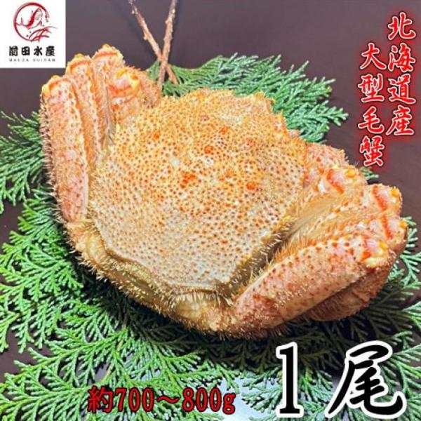 前田水産  【訳あり】北海道産　大型毛蟹 1尾 約700-800ｇサイズ ボイル 付け足