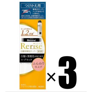 3個セット リライズ 白髪染め リ・ブラック (自然な黒さ) ◆ふんわり仕上げ◆男女兼用 つけかえ用 単品 190g×3本｜家電のみやび