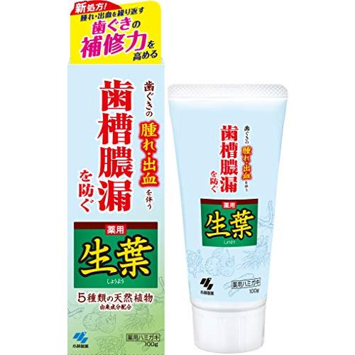 【2個】小林製薬 薬用歯みがき 生葉歯槽膿漏を防ぐ 和漢ハーブの香味 薬用ハミガキ 歯周病・知覚過敏...