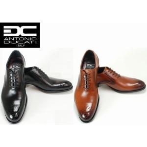 ANTONIO DUCAT I DC1543 アントニオ ド...