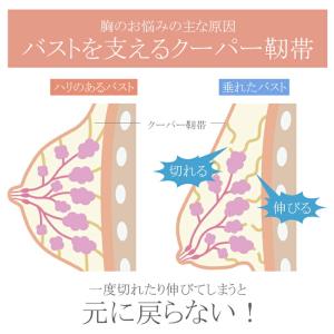 【セール40%OFF!10/24 20:00〜...の詳細画像5