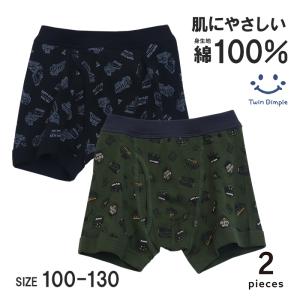 Twin Dimple ボーダー柄ブリーフパンツ(紺/グレー) 2枚組 100~160cm