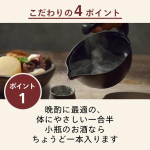 酒燗器 熱燗 300ml 1合半 ツインバード...の詳細画像4