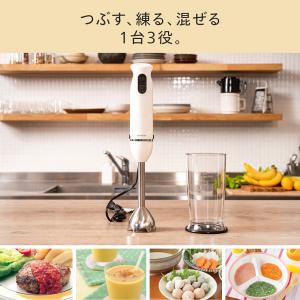 【公式】ブレンダー ステンレス 1台3役 KC...の詳細画像1