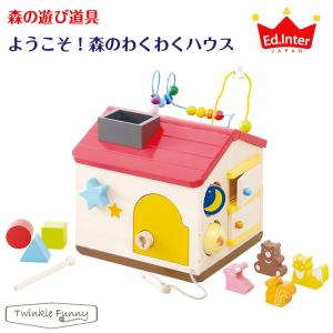 エド・インター 森のあそび箱 木のおもちゃ 型はめ パズル 806487 : M