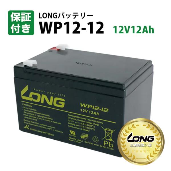 LONG正規取扱い店 WP12-12 互換 NPH12-12 RE11-12 PE12V12F2/Z...