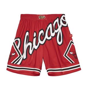 NBA シカゴ ブルズ バスケットパンツ Chicago Bulls Big Logo Shorts バスパン ビッグロゴショーツ ミッチェルアンドネス 新作｜twiy