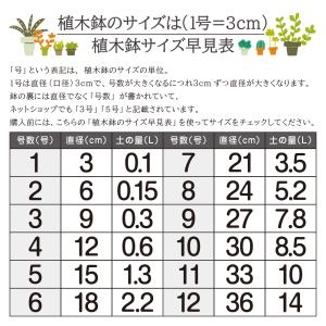 鉢カバー プランターカバー 6号鉢対応 Mサイズの詳細画像5