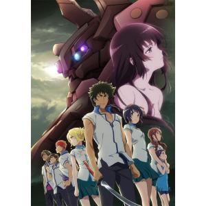 クロムクロ 14-26話BOXセット コレクター版 ブルーレイ Blu-ray