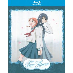 バトルファイターズ 餓狼伝説1＆2 OVA ブルーレイ Blu-ray