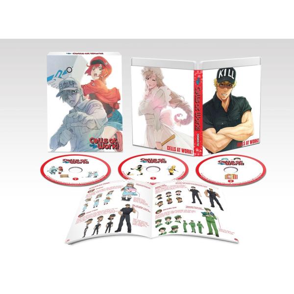 はたらく細胞 全13話+特別編BOXセット ブルーレイ【Blu-ray】
