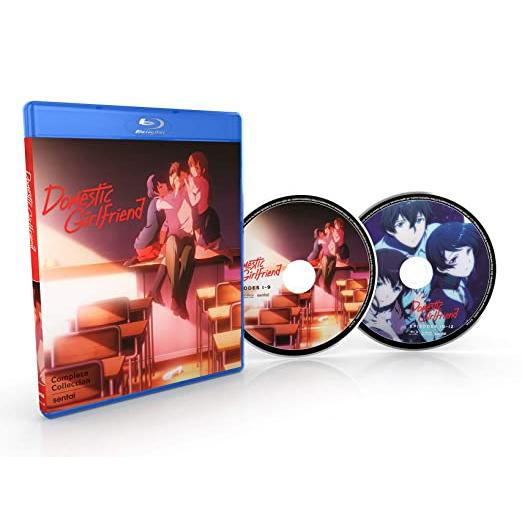 ドメスティックな彼女 全12話BOXセット ブルーレイ Blu-ray