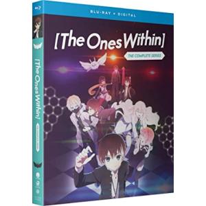 なんでここに先生が!? 全13話BOXセット ブルーレイ Blu-ray