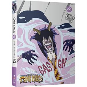 ONE PIECE ワンピース パート25 588-614話BOXセット DVD