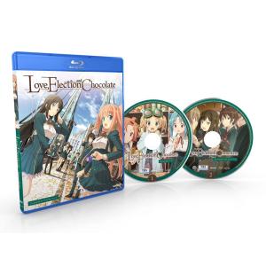 とっとこハム太郎 第4シリーズ はむはむぱらだいちゅ! 全10枚 第245話