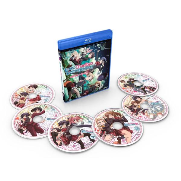 中二病でも恋がしたい! 第1+2期 全24話+OVA2話+劇場版2作 アルティメットコレクション 新...