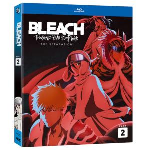 ヴァイオレット・エヴァーガーデン TVアニメ全13話BOXセット