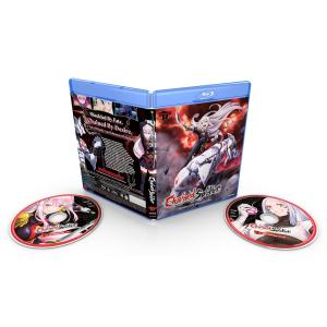 神魂合体ゴーダンナー!! 一期二期　dvd 全巻セット　box付き Amazon.com: 神魂合体ゴーダンナー!!Blu-ray BOX (初回限定生産