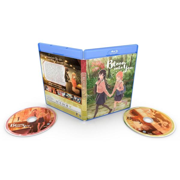 やがて君になる 全13話セット(再リリース) ブルーレイ Blu-ray 北米版