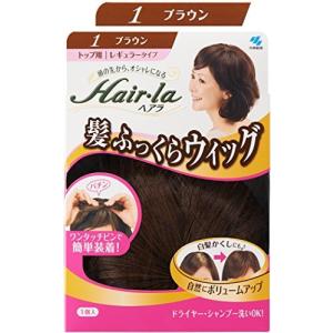 小林製薬 ヘアラ髪ふっくらウィッグ ブラウン