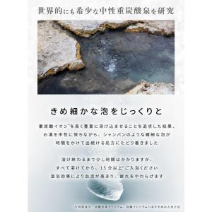 BARTH 中性重炭酸入浴剤 9錠 公式店 |...の詳細画像2